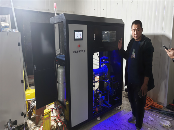 500g次氯酸钠发生器